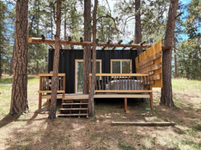 Micah Tiny Home #3 with Hot Tub on 5 Acres